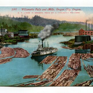 willamette-falls-and-mills-oregon-city-oregon-2838