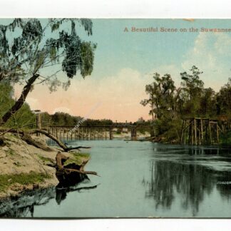 a-beautiful-scene-on-the-suwannee-river-florida-2956