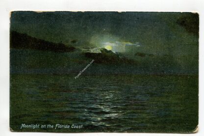 moonlight-on-the-florida-coast-2939