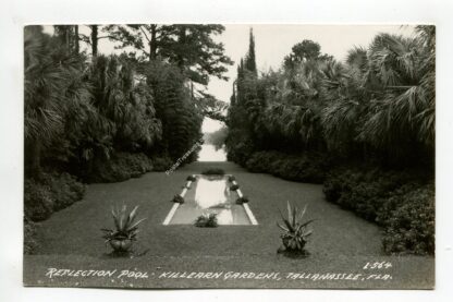 reflection-pool-killearn-garden-tallahassee-florida-2938