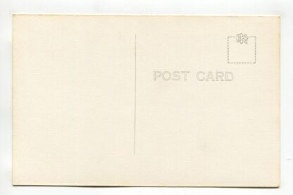 refreshment-stand-and-picnic-shelter-hillsborough-river-state-park-zephyr-hills-florida-a16145