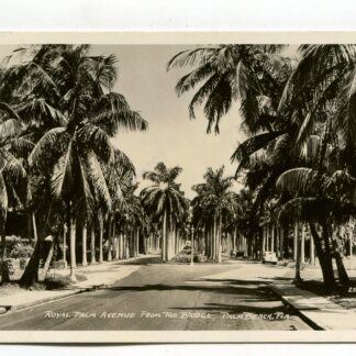 royal-palm-avenue-from-the-bridge-palm-beach-florida-2947