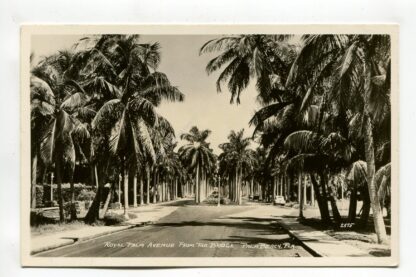 royal-palm-avenue-from-the-bridge-palm-beach-florida-2947