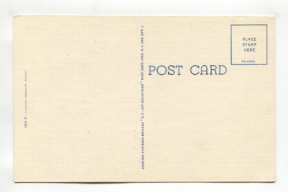 state-bird-of-florida-the-mocking-bird-state-flower-of-florida-the-orange-blossom-a16159