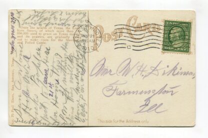 texas-longhorn-steer-width-of-horns-9-ft-6-in-a18835