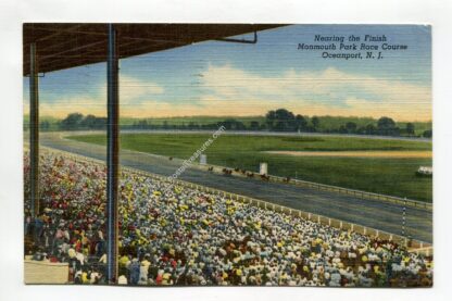 nearing-the-finish-monmouth-park-race-course-oceanport-new-jersey-2997