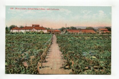 wine-cellars-italian-swiss-colony-asti-california-2983