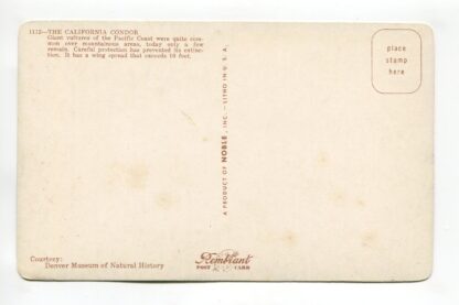 california-condor-a21876