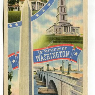 in-memory-of-washington-3092