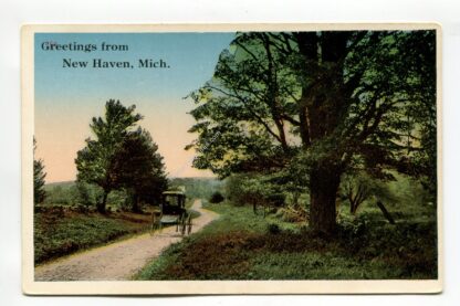 greetings-from-new-haven-michigan-3162