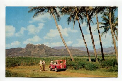 sleeping-giant-island-of-kauai-hawaii-3114