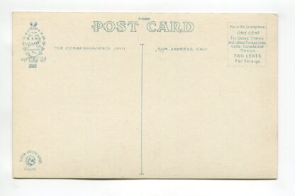 snowy-heron-florida-a19371