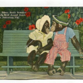 a-green-bench-romance-at-florida-wild-animal-ranch-st-petersburg-florida-3208