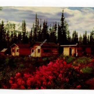alaska-highway-3194