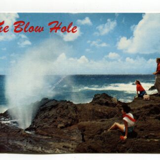blow-hole-oahu-3235