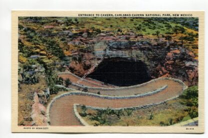 entrance-to-cavern-carlsbad-cavern-national-park-new-mexico-3220