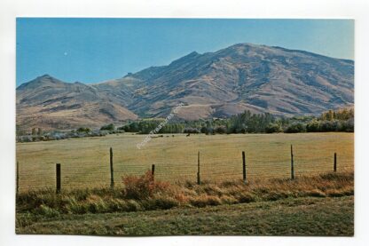 nevada-mountain-and-meadows-3190