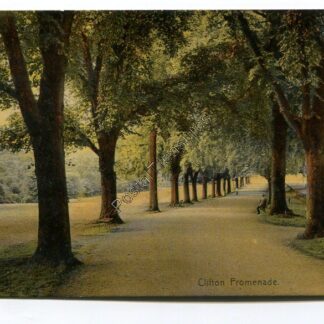 clifton-promenade-3286