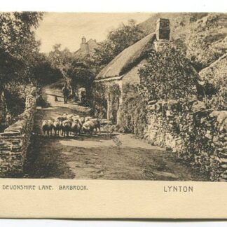 a-devonshire-lane-barbrook-lynton-3473