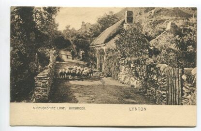 a-devonshire-lane-barbrook-lynton-3473