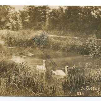 a-sussex-millstream-3446