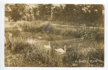 a-sussex-millstream-3446
