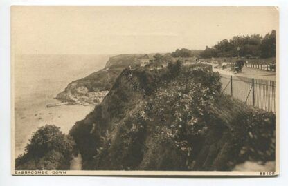 babbacombe-down-3570