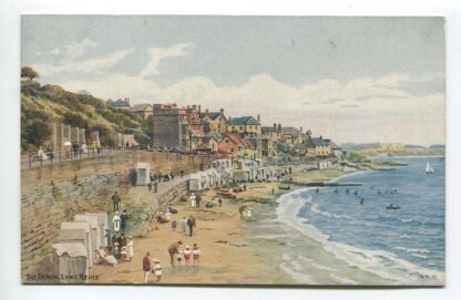 beach-lyme-regis-3478