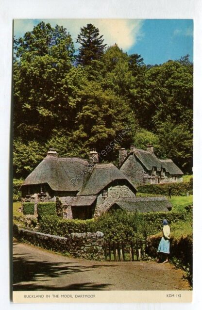 buckland-in-the-moor-dartmoor-3312