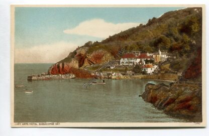 cary-arms-hotel-babbacombe-bay-3356