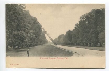 chestnut-avenue-bushey-park-3482