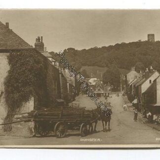 dunster-3498