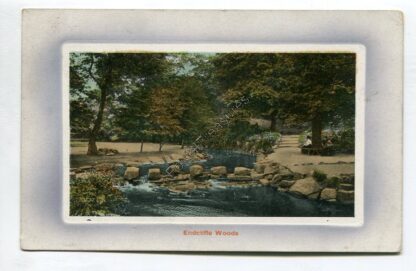 endcliffe-woods-3317