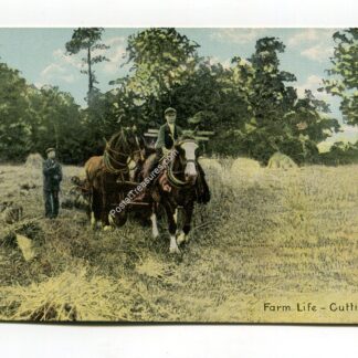 farm-life-cutting-3489
