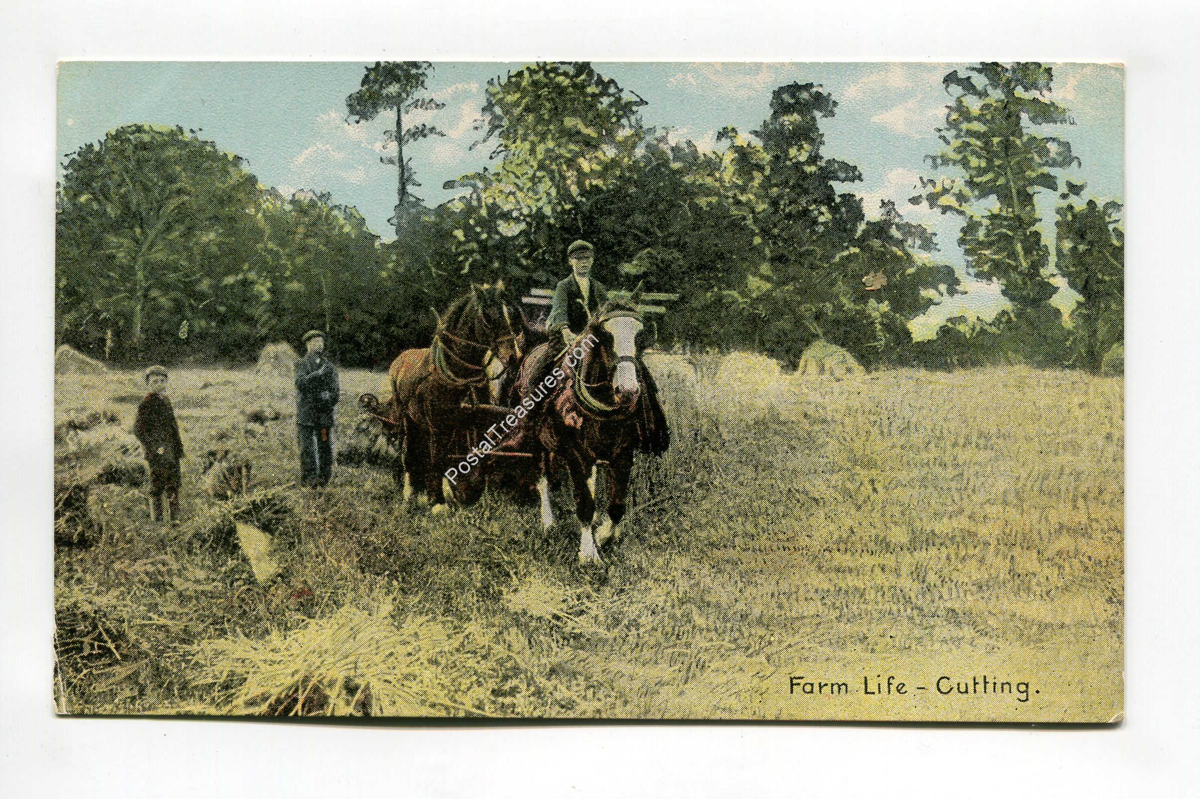 farm-life-cutting-3489