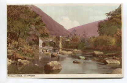 fingle-bridge-dartmoor-3344