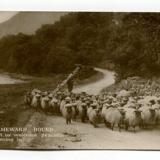 homeward-bound-so-let-us-welcome-peaceful-evening-in-3463