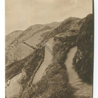 ilfracombe-the-tors-walk-3474