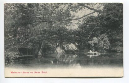 malvern-scene-on-swan-pool-3561