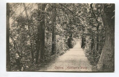 oxford-addisons-walk-3332