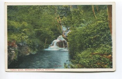 percy-beck-barnard-castle-durham-3554