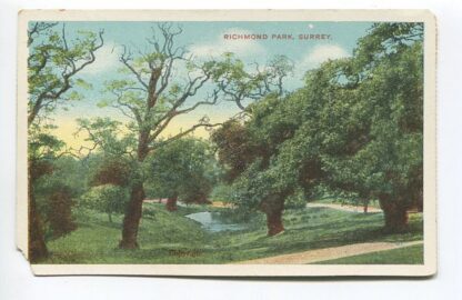 richmond-park-surrey-3548
