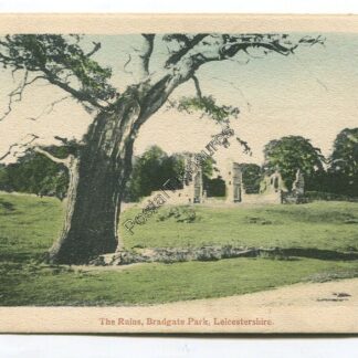 ruins-bradgate-park-leicestershire-3316