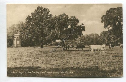 stoke-poges-the-lowering-herd-winding-slowly-o-er-the-lea-3322