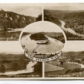 the-sylvan-wye-3369