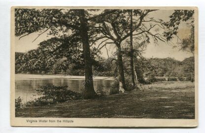 virginia-water-from-the-hillside-3314