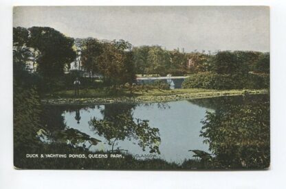 duck-and-yachting-ponds-queens-park-glasgow-3643