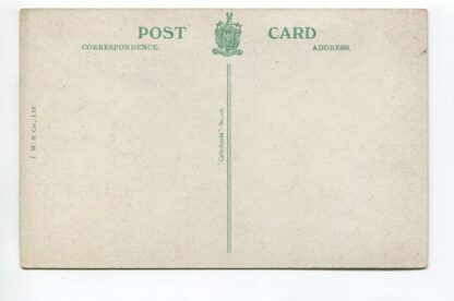 duck-and-yachting-ponds-queens-park-glasgow-a15498