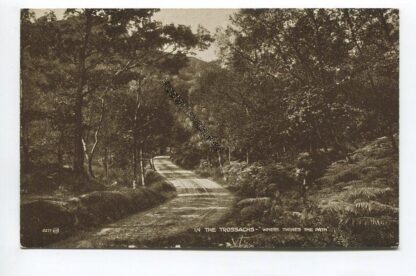 in-the-trossachs-where-twines-the-path-3623
