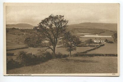 little-switzerland-newport-3585